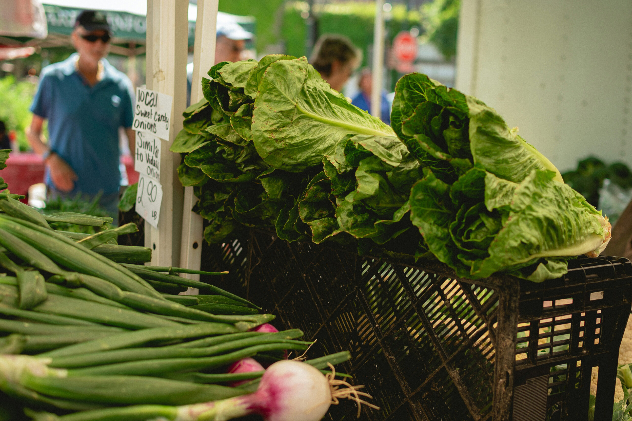 Things to do in East Cambridgeshire - close up of vegetables on stall at Ely Market