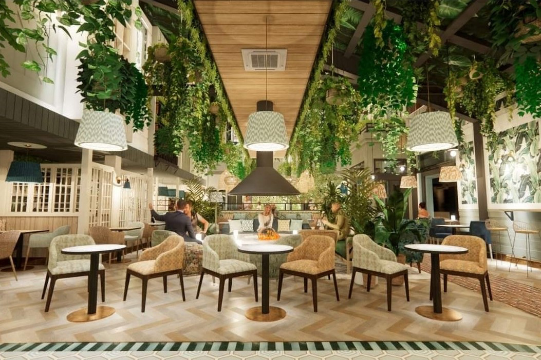 Places to eat in East Cambridgeshire - seating area at Bens Yard with hanging green plants