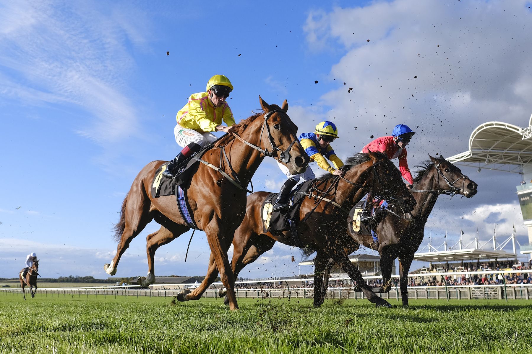 Things to do in East Cambridgeshire - Newmarket Racecourse - image of horses racing with stands in background