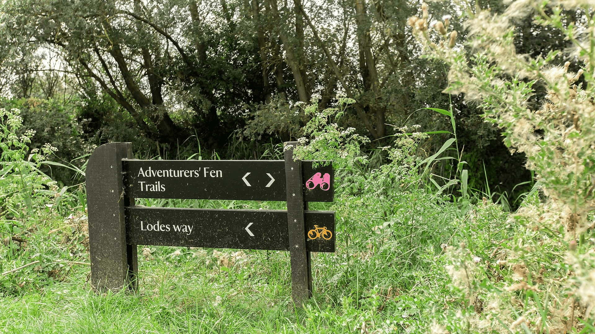 Things to do in East Cambridgeshire - Walking. Photo of sign post for trails and walks in Wicken Fen