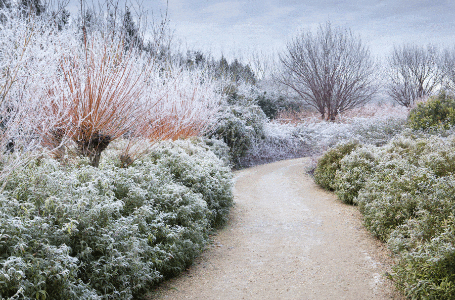 What’s On November in East Cambs