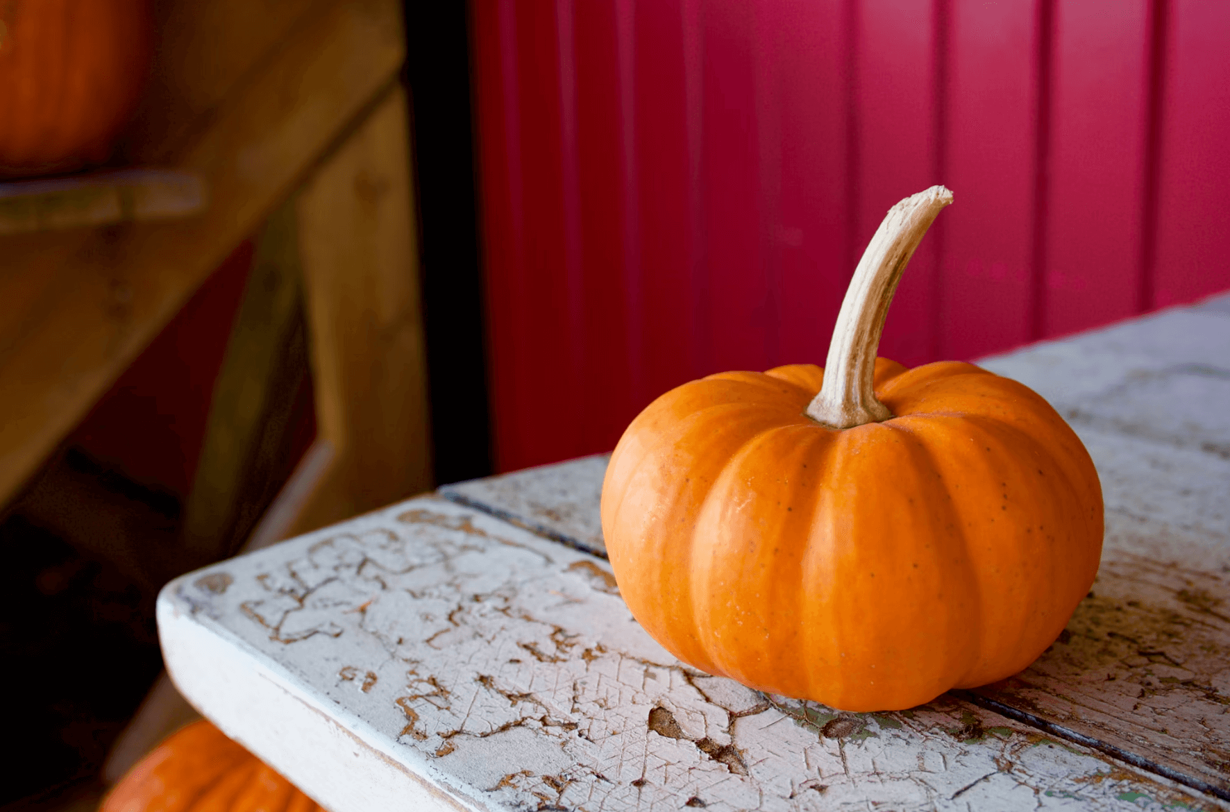 What’s On in East Cambs this September